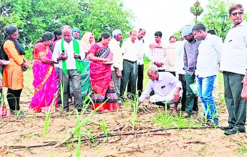 ప్రకృతి వ్యవసాయ క్షేత్రం సందర్శన 