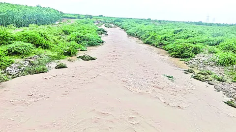 తెరిప