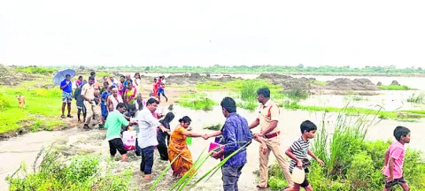 పెరిగ