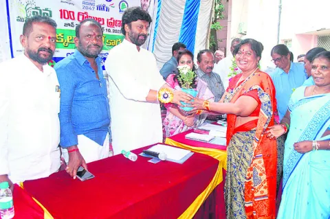 మొక్కల సంరక్షణ బాధ్యత మహిళలకే
