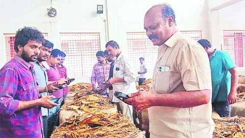 వర్జీనియా మరింత కుంగి!