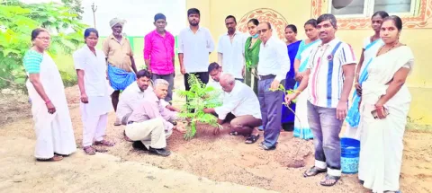 మొక్కల సంరక్షణ సామాజిక బాధ్యత 