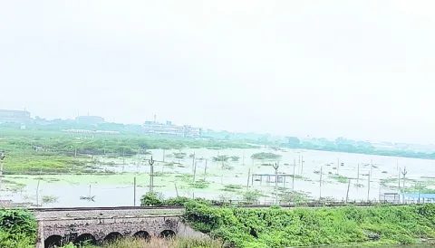 కాశన్నకుంట.. వెంచర్లే వెంట 
