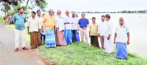 పంట పొలాలను పరిశీలించిన జిల్లా వ్యవసాయ అధికారి 