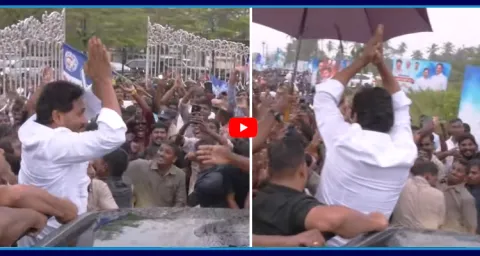 Massive Crowd In YS Jagan Bhimavaram Tour 2