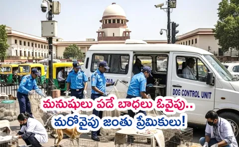 Stray Dogs Row: Larger Supreme Court Bench Hearings Full Details3