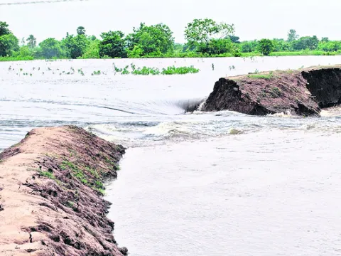 వెంగళరాయ సాగర్‌ మట్టికట్టకు గండి
