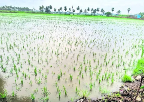నిండా ముంచేను
