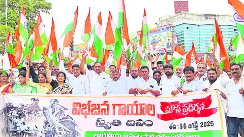 చీకటి రోజు ఆగస్టు 14