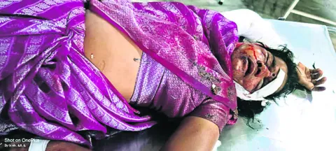 కుక్క