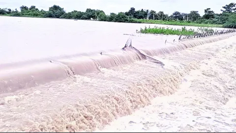 పదేళ్