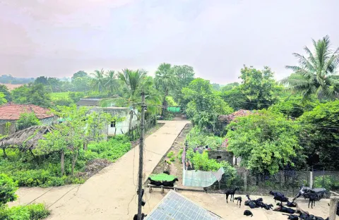 మద్యం మాటే లేదు..