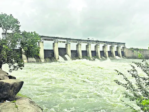 మంజీరా పరవళ్లు