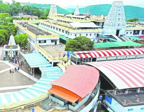 కొబ్బరి చెక్క.. సిరులు పక్కా