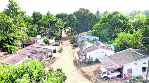 అవసరం