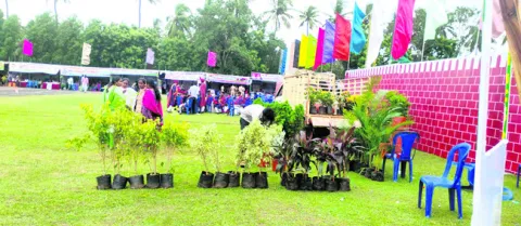 తాగున