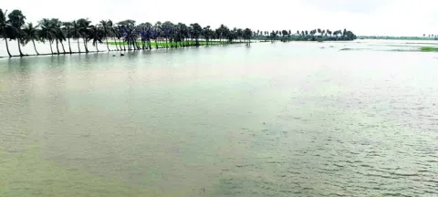 నీటము