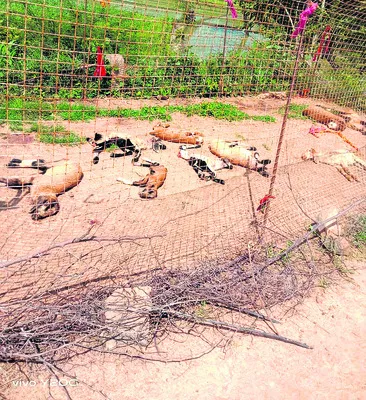 రోడ్డు ప్రమాదంలో వ్యక్తి దుర్మరణం 
