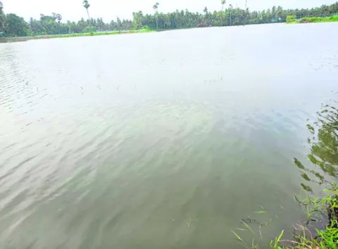 నిండా