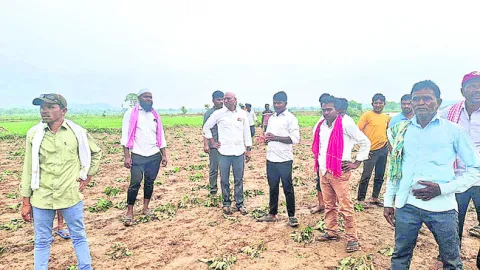 ఎకరాకు రూ.30 వేల పరిహారం ఇవ్వాలి