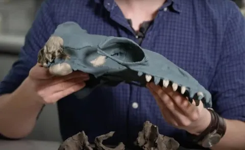 ancient whale discovered on Australia coast14