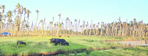 సమస్య
