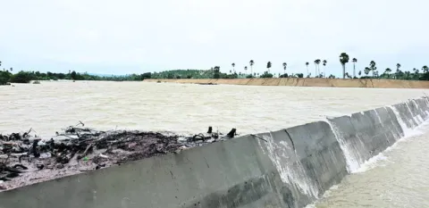ఆశలు నింపిన వాన