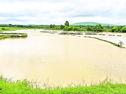 ఎట్టకేలకు వరుణుడి కరుణ
