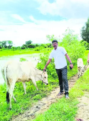 మూగజీవాలను కాపాడిన హెడ్‌కానిస్టేబుల్‌
