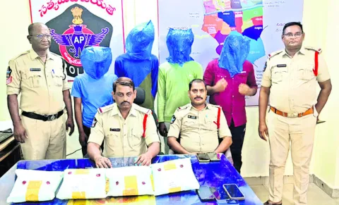 గంజాయి తరలిస్తున్న నలుగురి అరెస్టు 