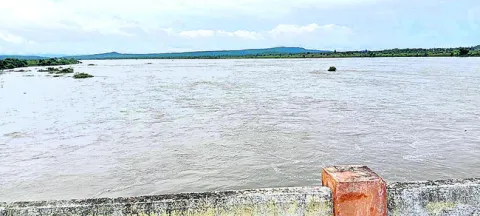 పెరిగ