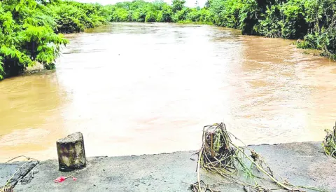 ఉధృతంగా డబ్బవాగు