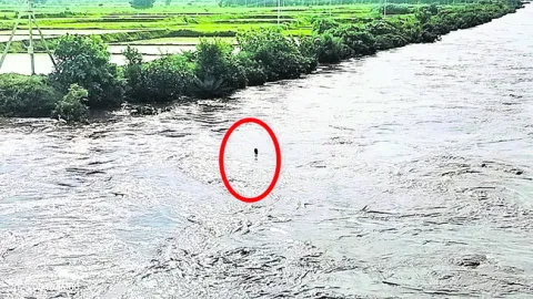 కడెం 