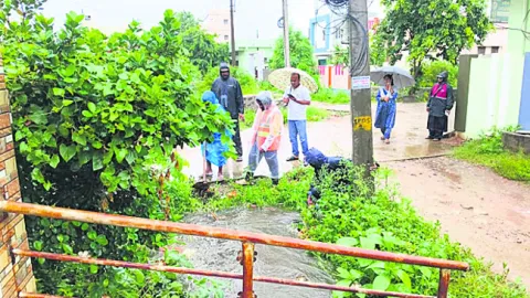 ఎస్సీ
