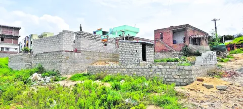 కోళ్ల