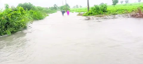 రొడ్య