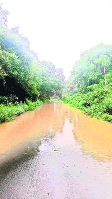 రేపటి నుంచి మెస్‌లు రీఓపెన్‌
