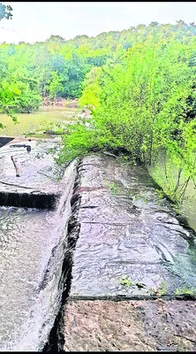 అలుగు