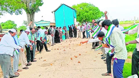 ఎంపీ మిథున్‌రెడ్డి విడుదల కావాలని పూజలు