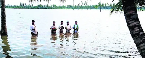 నక్కల కాలువతో పొలాలకు ముంపు