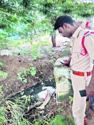 డ్రెయ