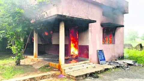 పంది 
