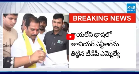 TDP MLA Daggubati Prasad Sensational Comments On Jr NTR 1