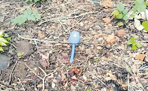 Rare Sky Blue Mushroom Found in Khammam Kanakagiri Forests