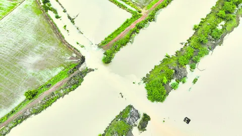 డెల్టా రైతు బతుకు ఉల్టా!