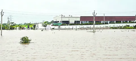 ఈసీ.. కబ్జా చేసి!
