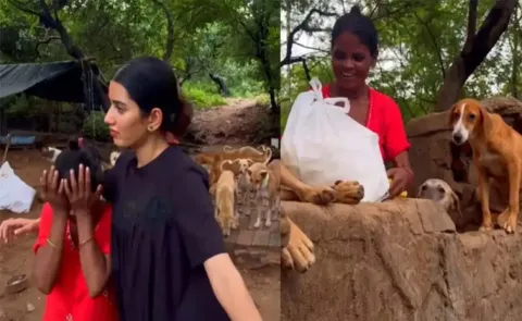 The Woman Who Takes Care Of 70 Stray Dogs Goes Viral