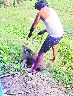 కూలీల