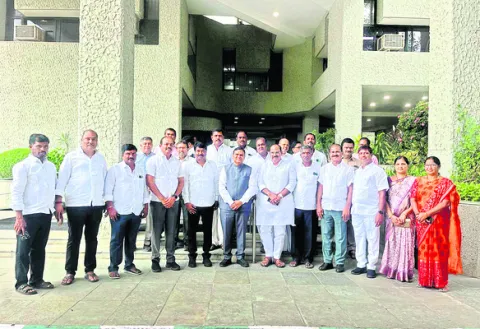 పాల వ