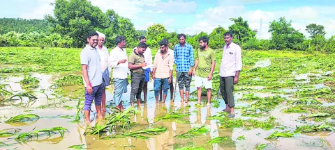 వర్షం తెచ్చిన నష్టం